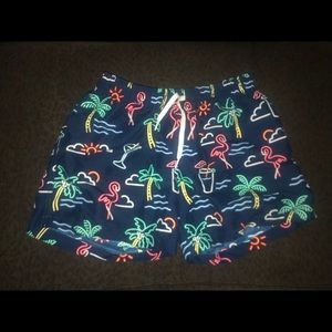 Chubbies bathing suit